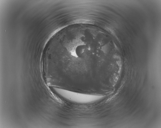 X0000061141125200512022240