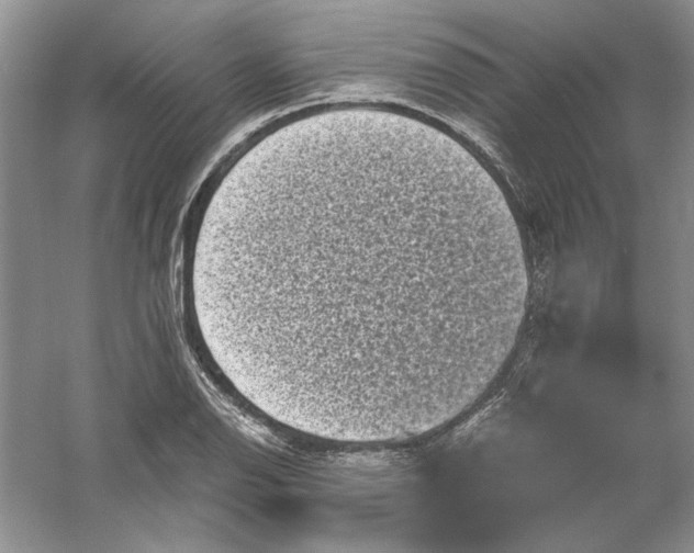 X0000061141126200512022240