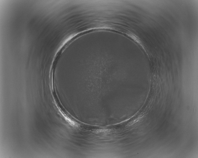 X0000061141127200512022240