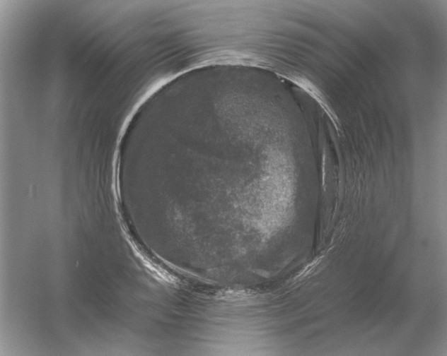 X0000061141128200512022240