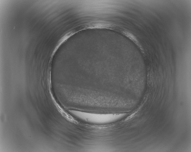 X0000061141130200512022240