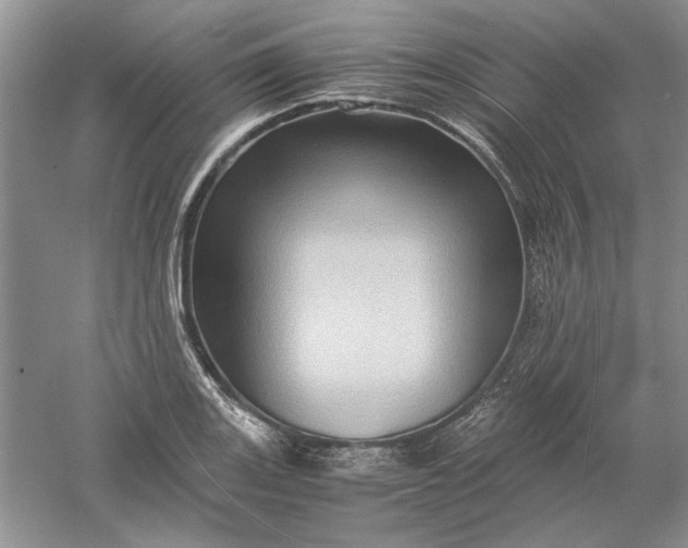 X0000061141131200512022240