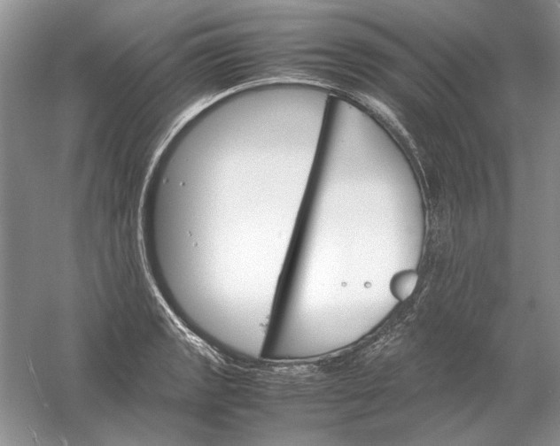 X0000061141133200512022240