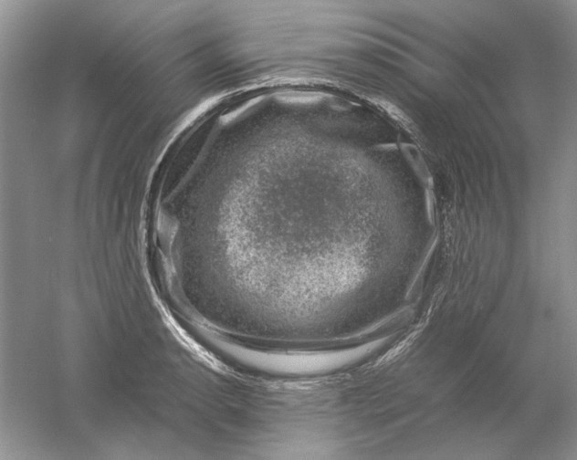 X0000061141134200512022240