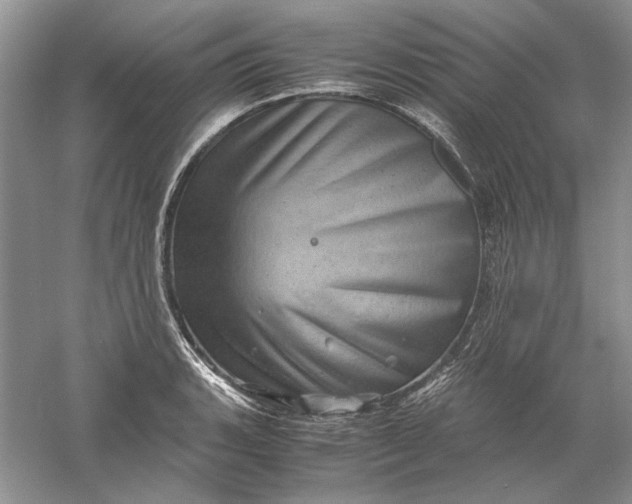 X0000061141135200512022240