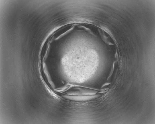 X0000061141136200512022240