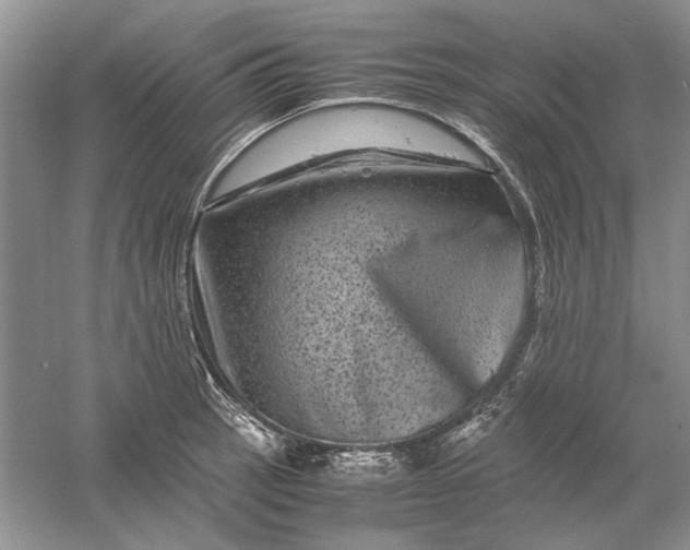 X0000061141137200512022240