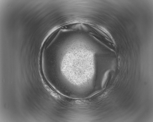 X0000061141138200512022240