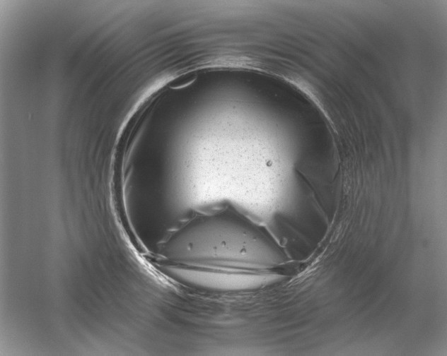 X0000061141139200512022240