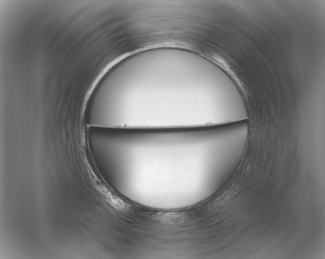 X0000061141140200512022240