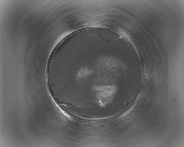 X0000061141141200512022240