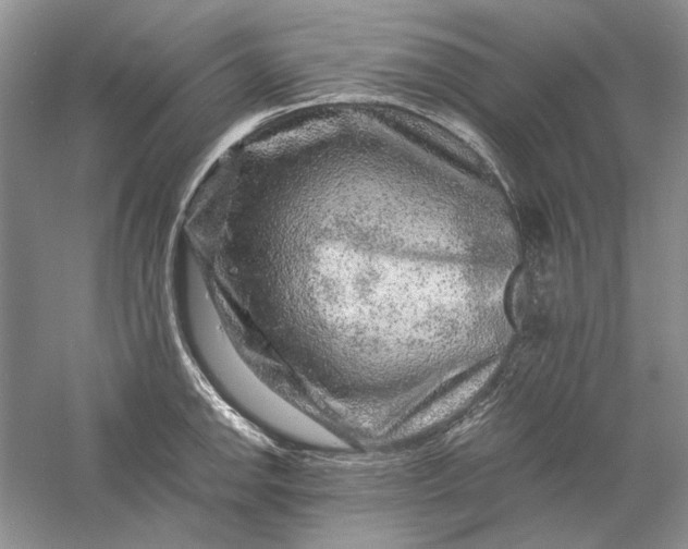 X0000061141142200512022240