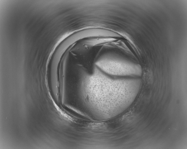 X0000061141143200512022240