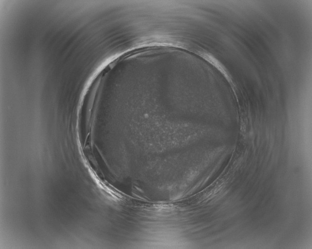 X0000061141144200512022240