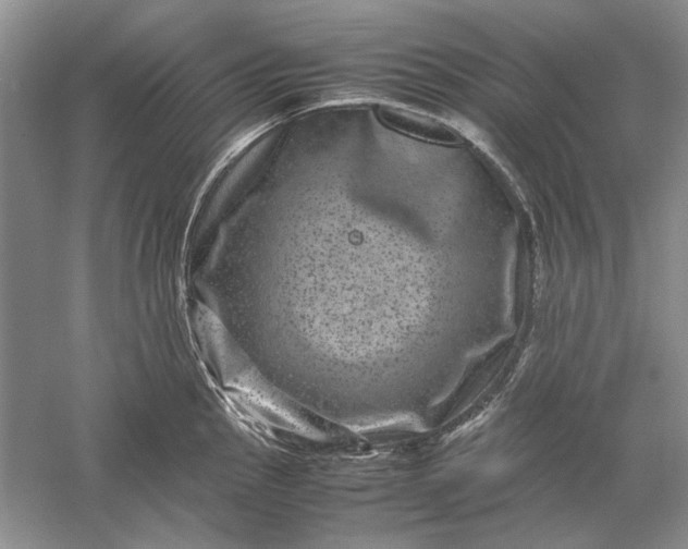 X0000061141145200512022240