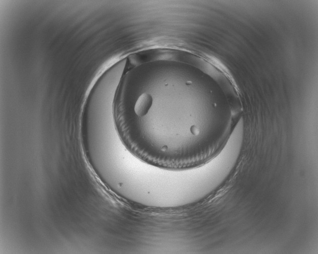 X0000061141146200512022240