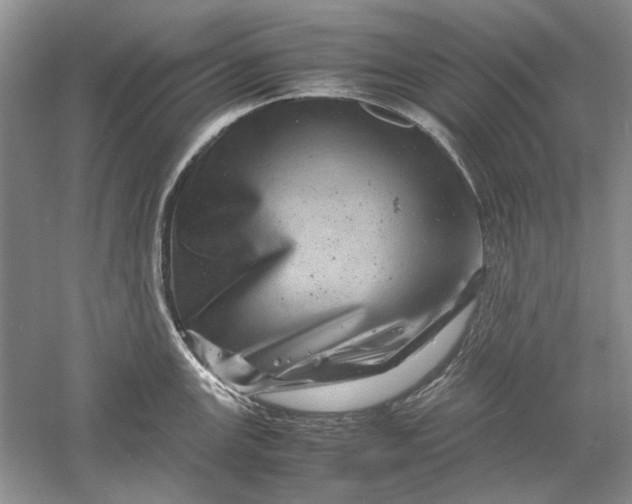 X0000061141147200512022240