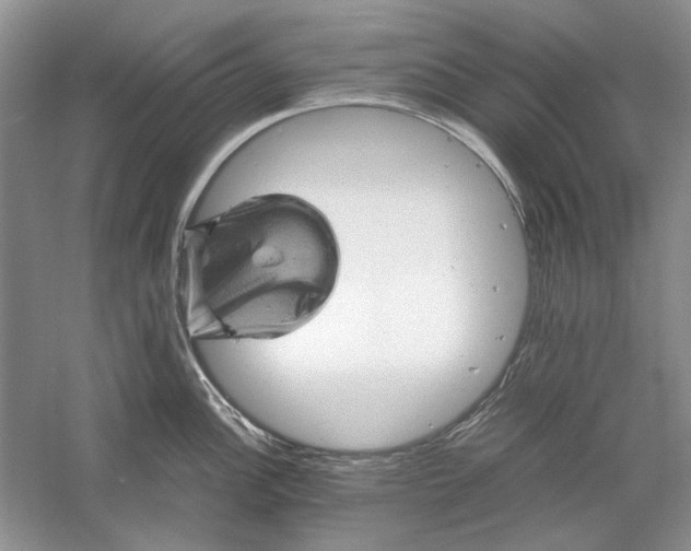 X0000061141148200512022240