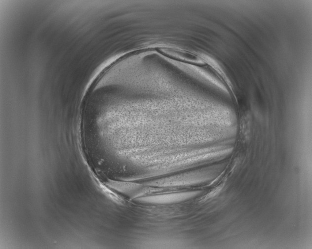 X0000061141149200512022241