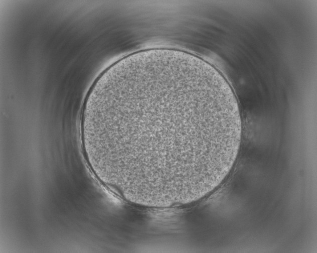 X0000061141150200512022241