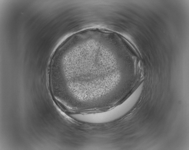 X0000061141151200512022241