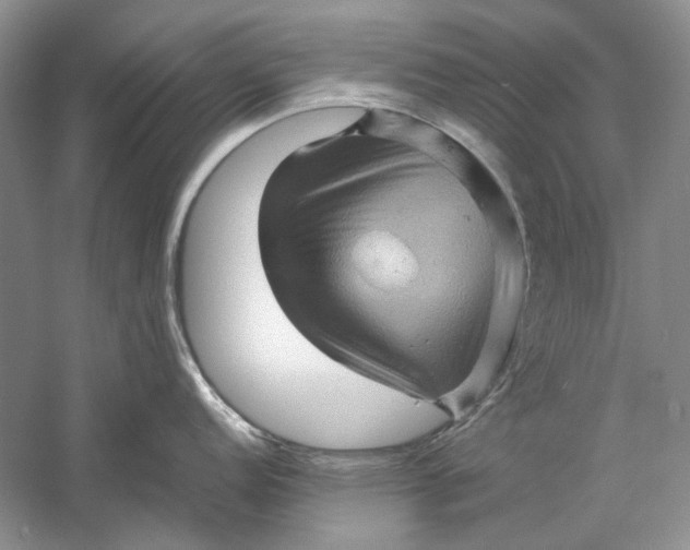 X0000061141152200512022241