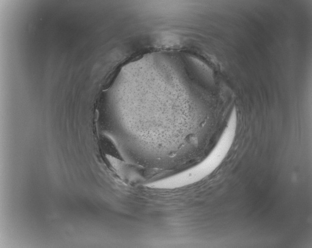 X0000061141153200512022240