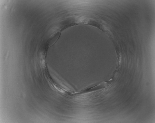 X0000061141154200512022240