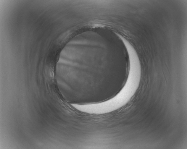 X0000061141155200512022240