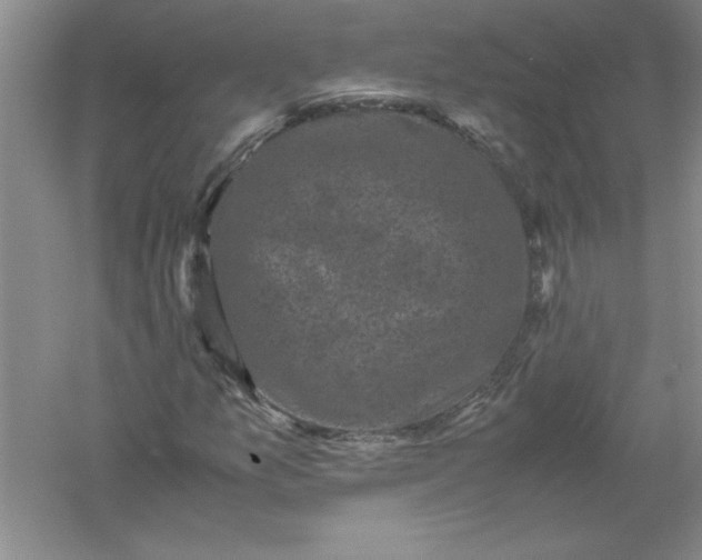 X0000061141157200512022240