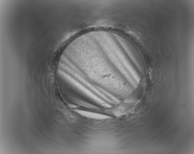 X0000061141159200512022239