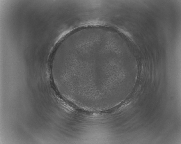 X0000061141160200512022239