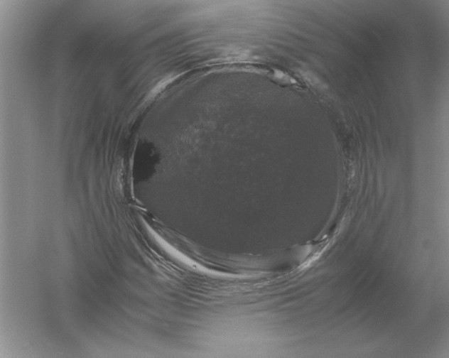 X0000061141161200512022239