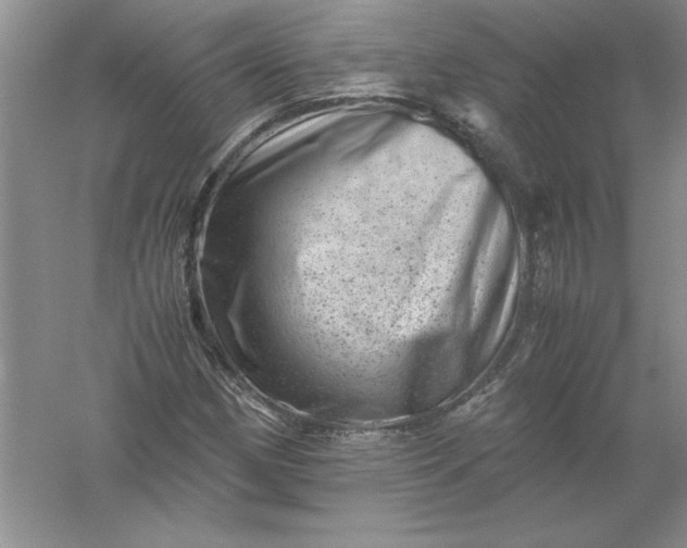 X0000061141162200512022239