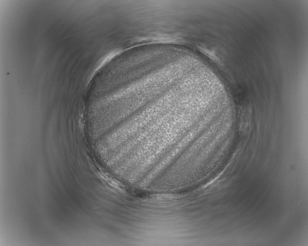 X0000061141163200512022239