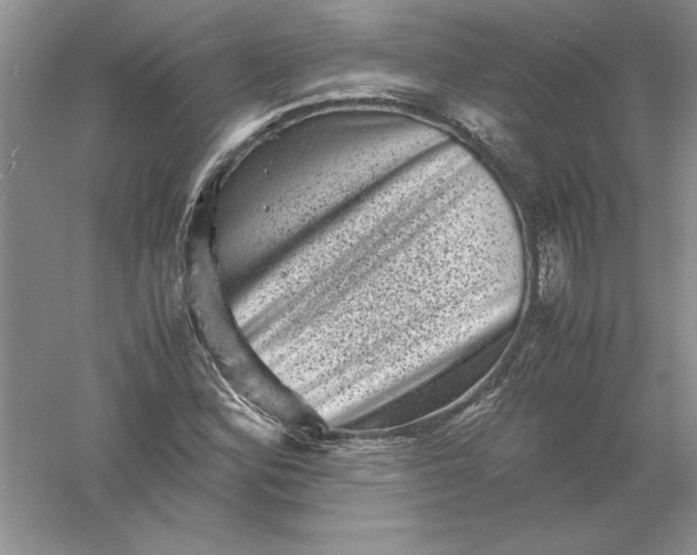 X0000061141164200512022239