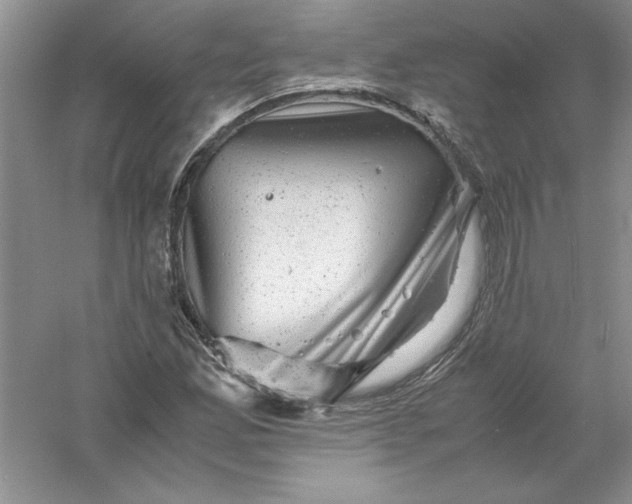 X0000061141165200512022239