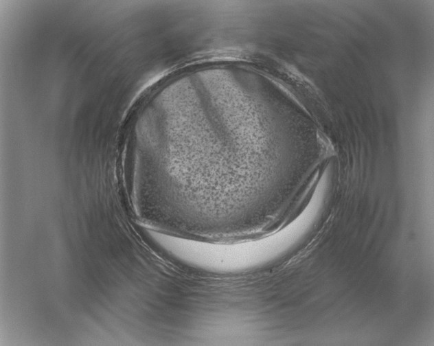 X0000061141166200512022239