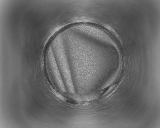 X0000061141167200512022239