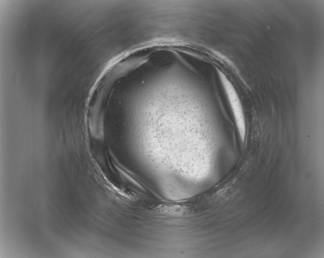 X0000061141168200512022239