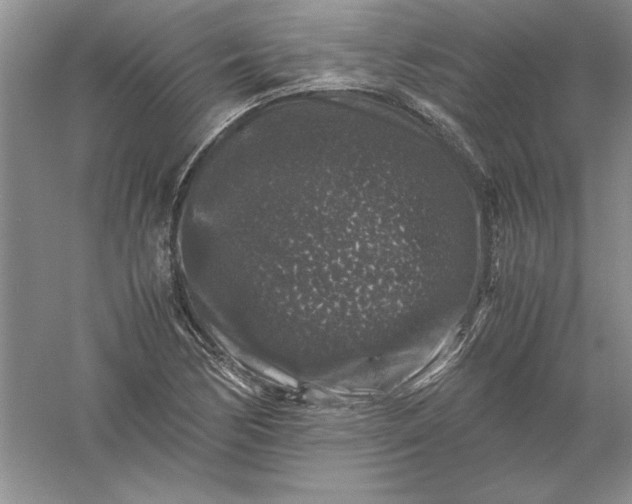 X0000061141170200512022239