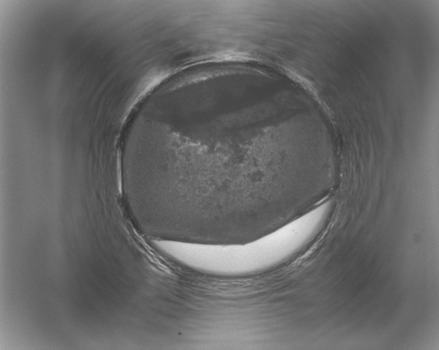 X0000061141171200512022239