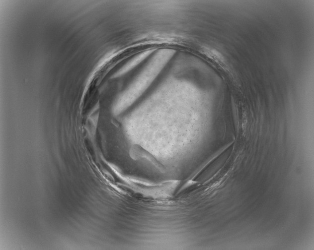 X0000061141172200512022239