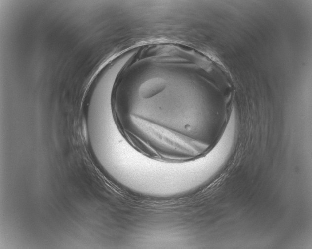 X0000061141173200512022239