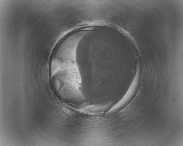 X0000061141174200512022239