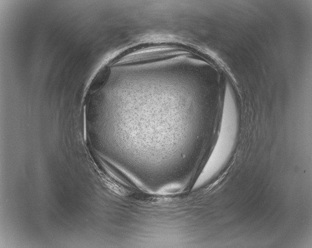 X0000061141175200512022239