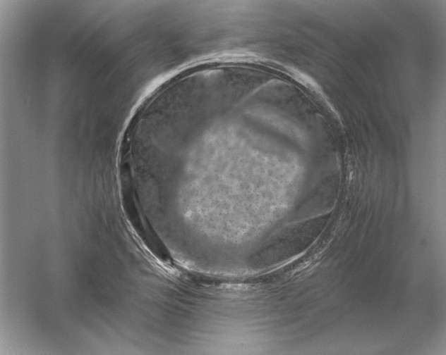 X0000061141176200512022239