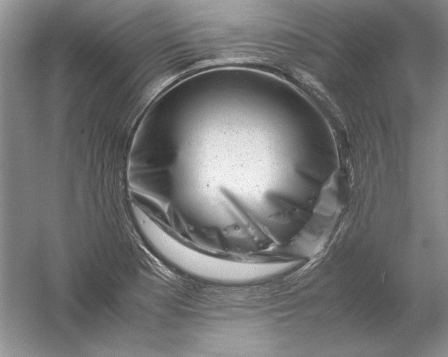 X0000061141177200512022239