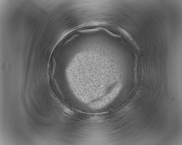 X0000061141178200512022239