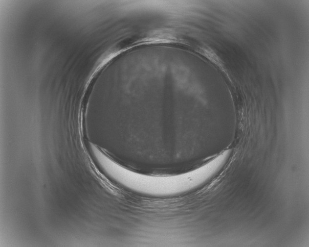 X0000061141179200512022239